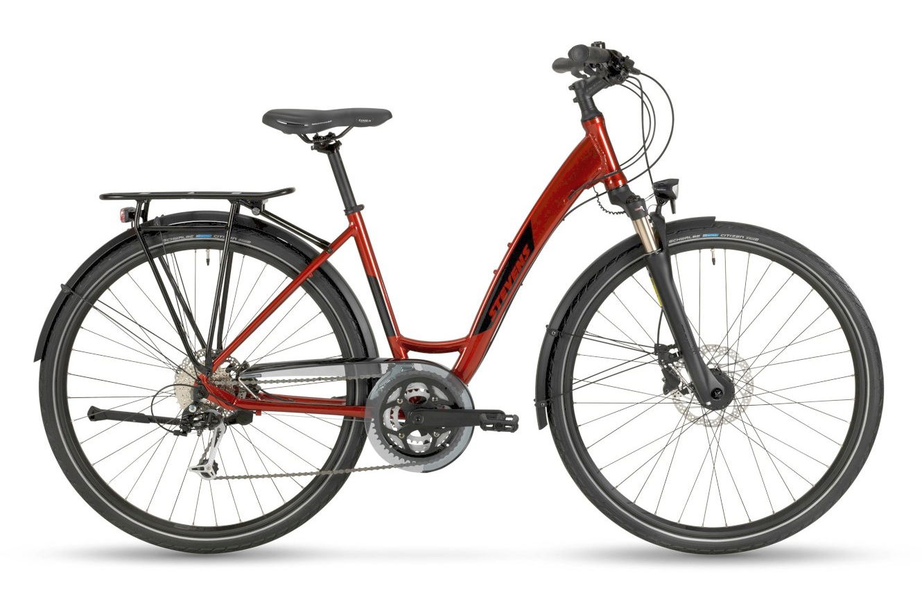 Stevens Savoie Forma red currant, 52 cm (28")