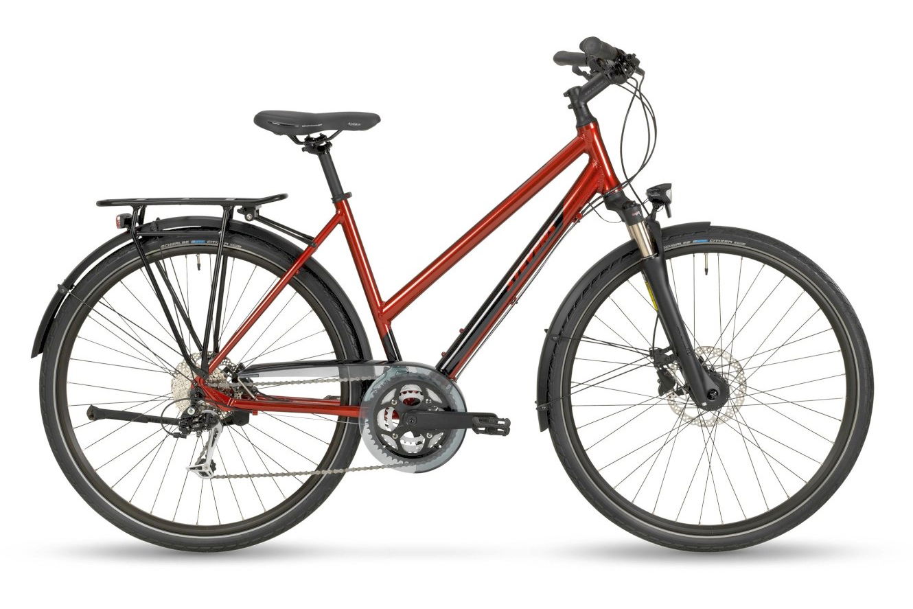 Stevens Savoie Lady red currant, 46 cm (28")