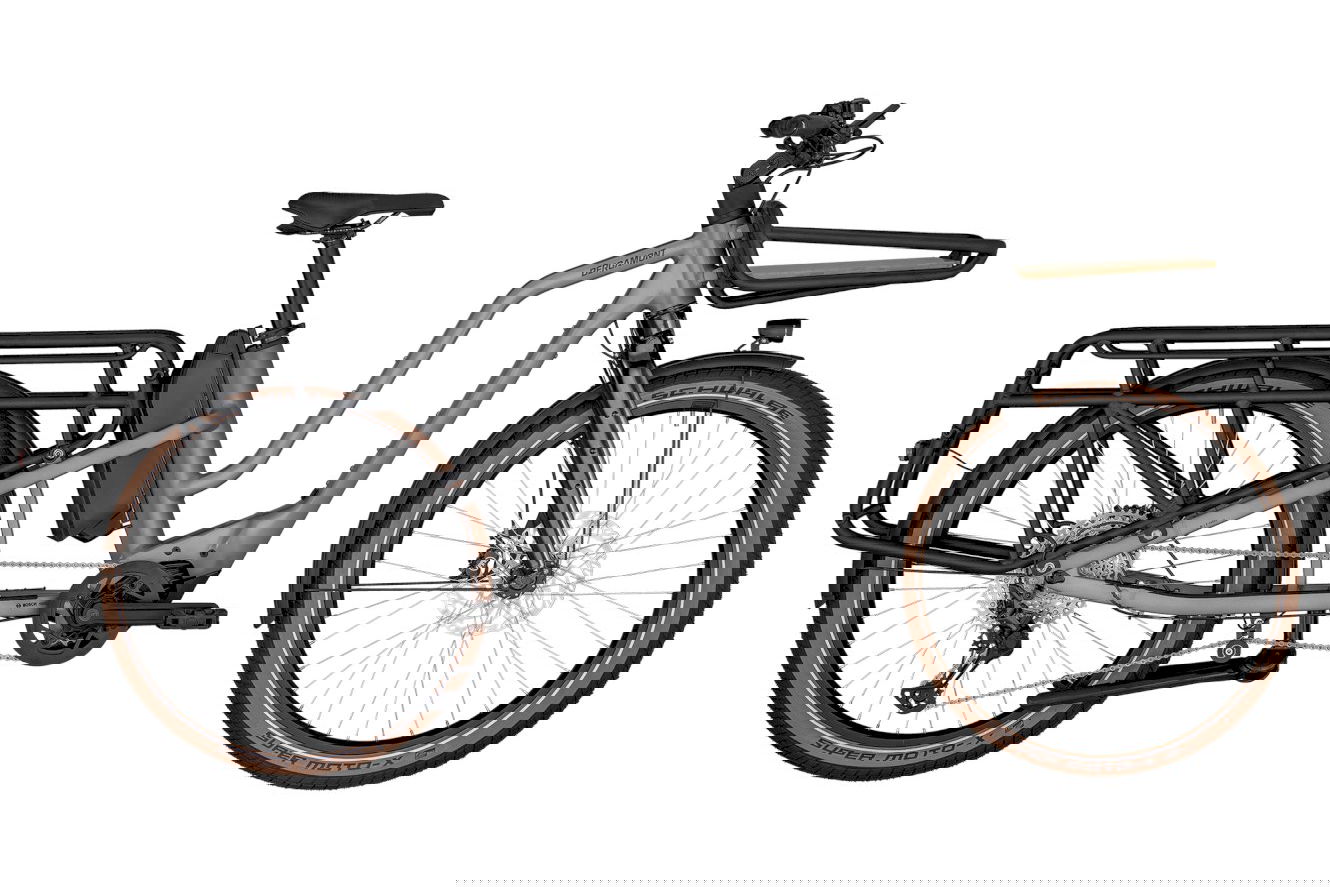 Bergamont E-Cargoville LT Expert Backpacker shiny mortar grey, L | (26")