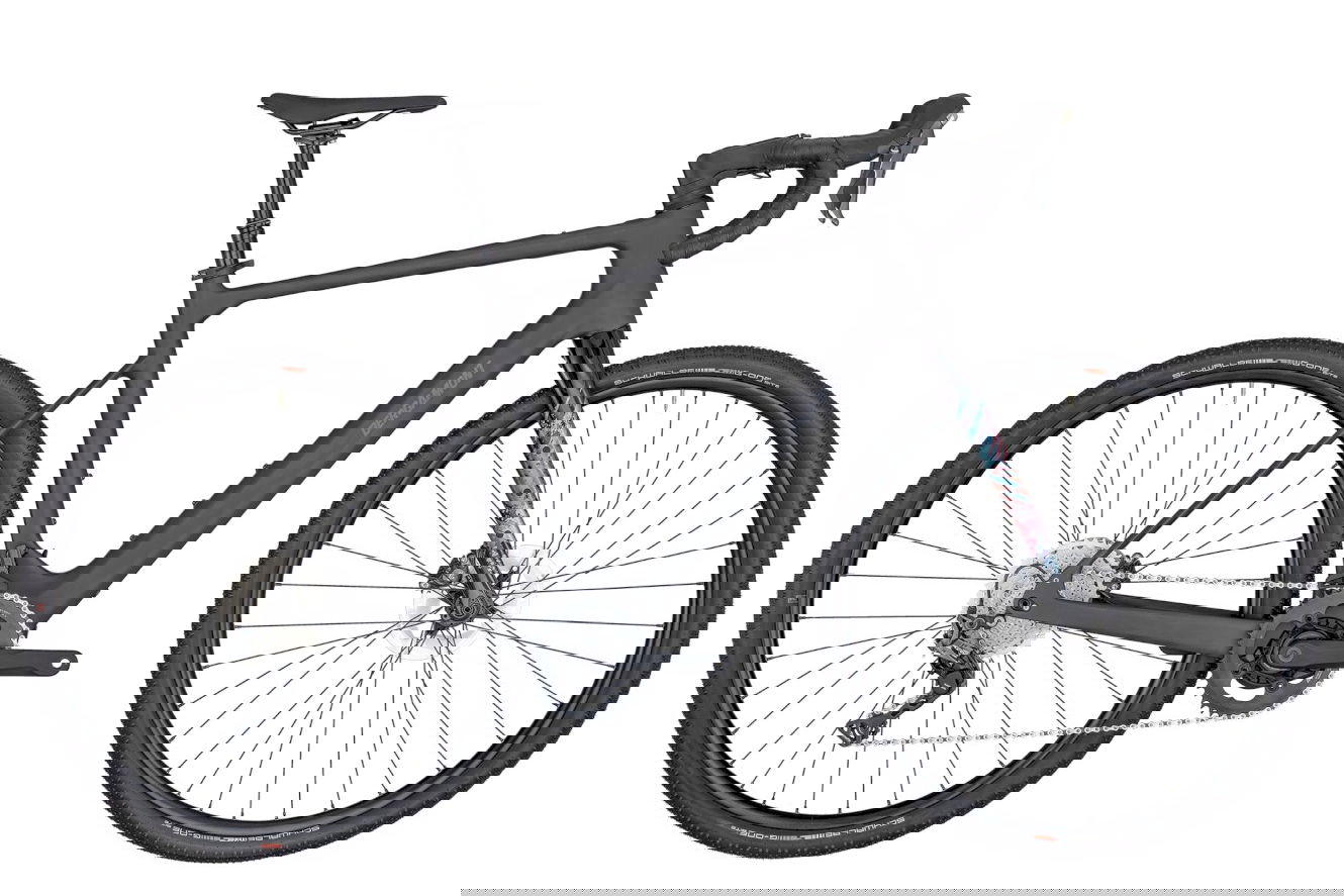 Bergamont E-Grandurance Elite Diamant clearcoated raw carbon, L | (28")