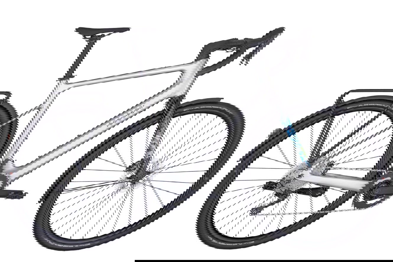 Bergamont E-Grandurance RD Expert Diamant shiny flaky silver, L | (28")