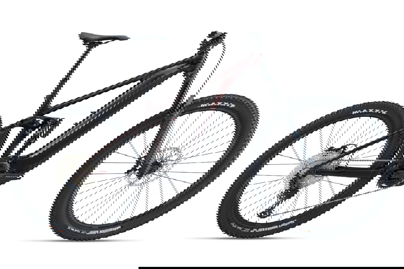 GIANT Reign E+ 2 | V1 Diamant cordovan, M | (29/27,5")