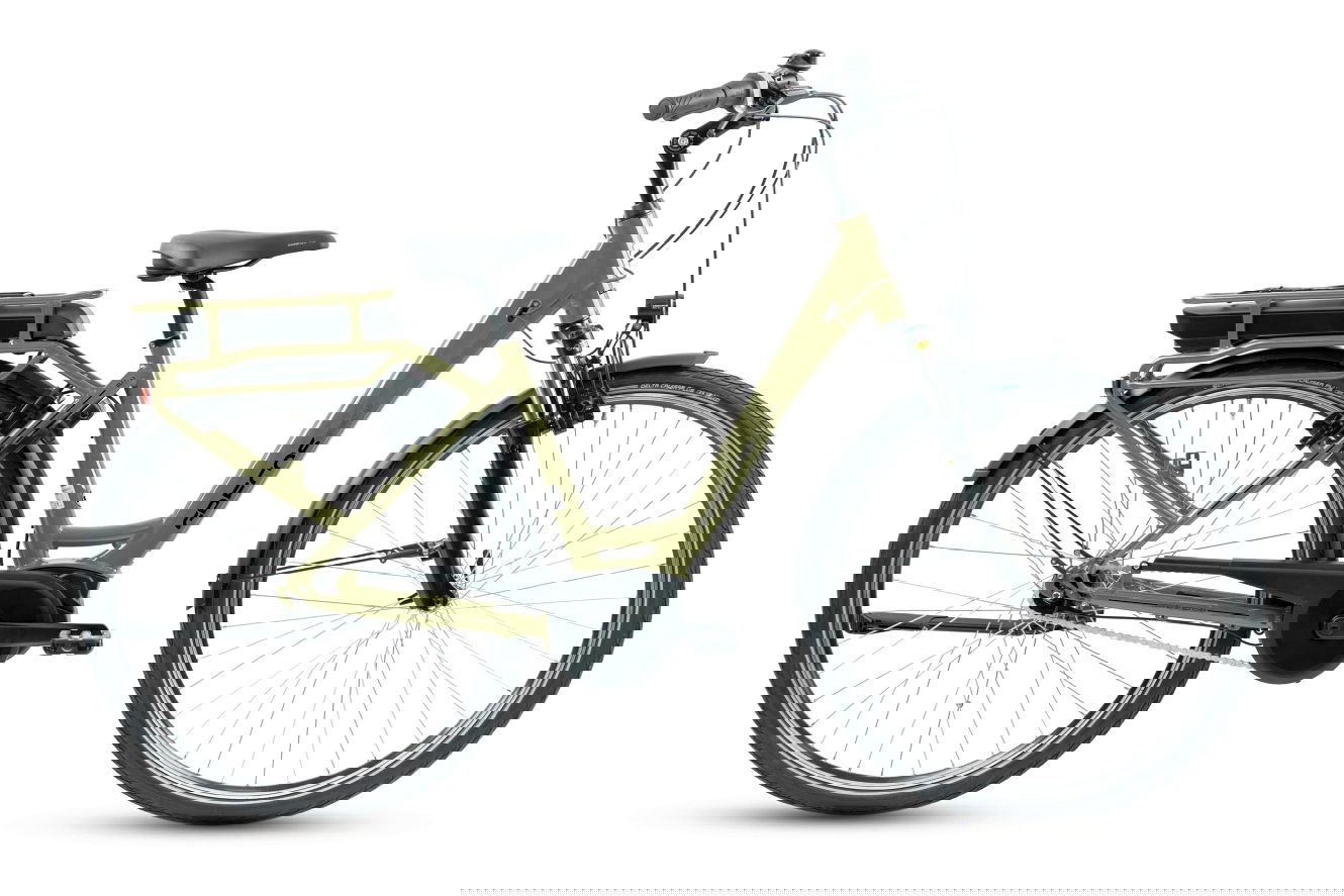 Grecos Eli 1.1 Wave schilfgrün, 48 cm | (28"")