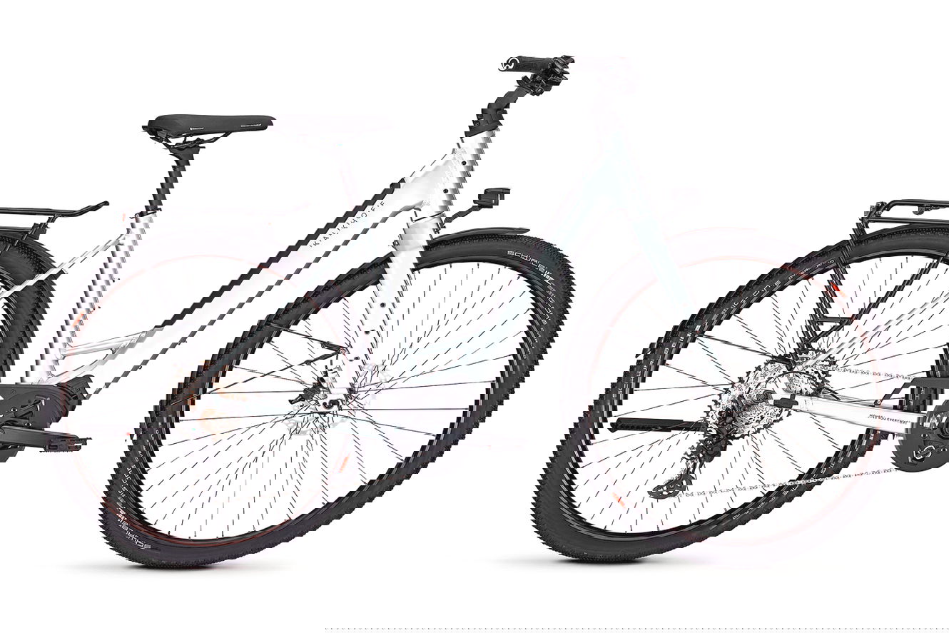 Kalkhoff ENDEAVOUR L EXCITE Wave nepalsilver glossy, 55 cm | L | (29")