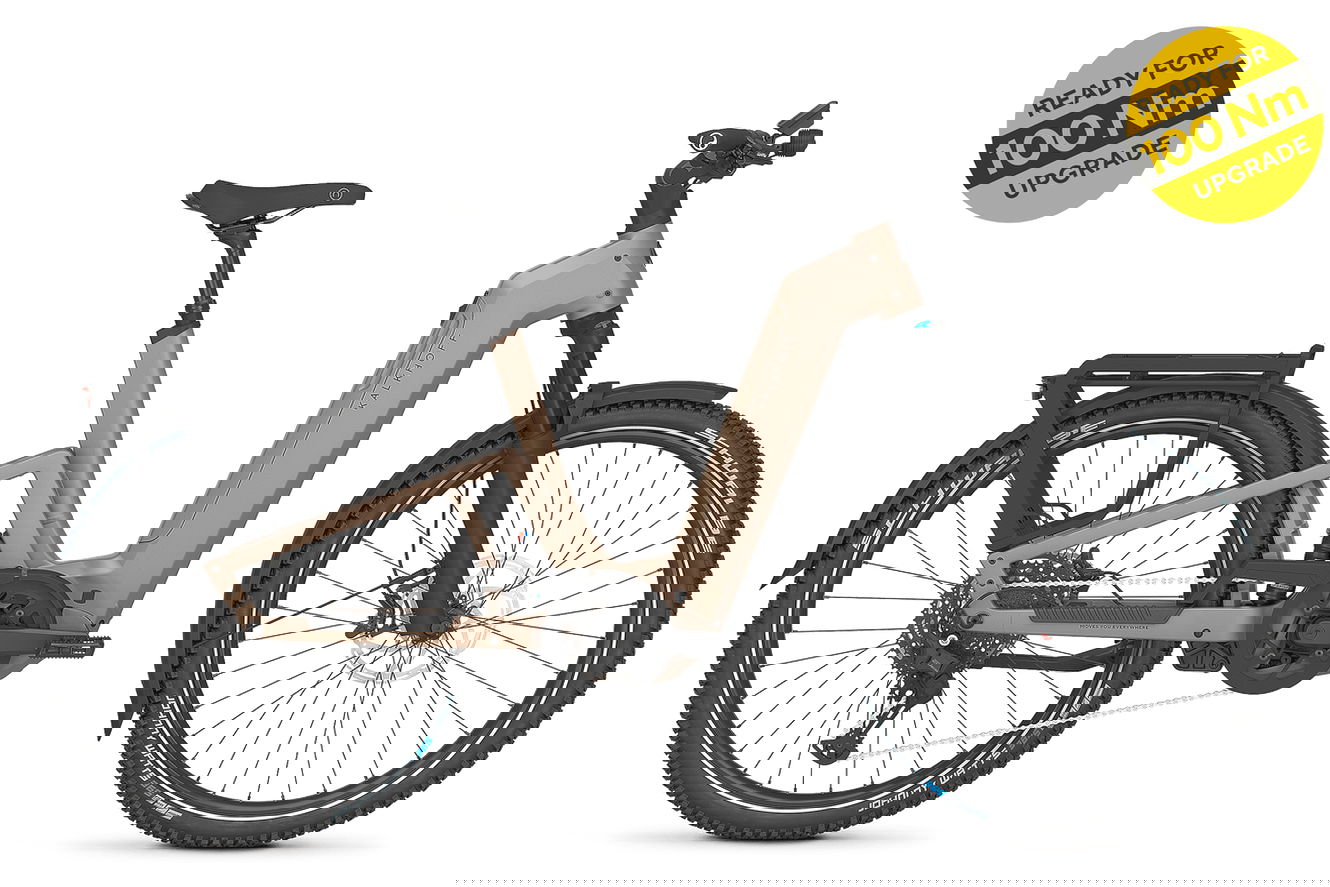 Kalkhoff ENTICE 7+ ADVANCE Wave moonstonegrey matt, 45 cm | S | (27,5")