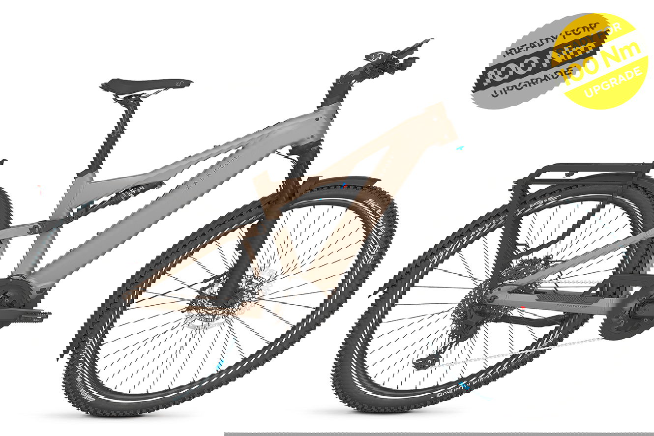 Kalkhoff ENTICE 7+ EXCITE ABS Diamant moonstonegrey matt, 46 cm | M | (29")