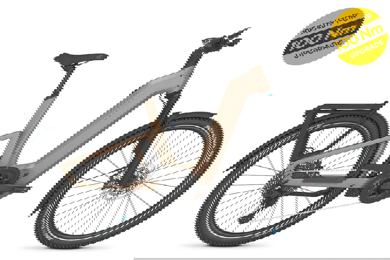 Kalkhoff ENTICE 7+ EXCITE ABS Wave moonstonegrey matt, 55 cm | L | (27,5")