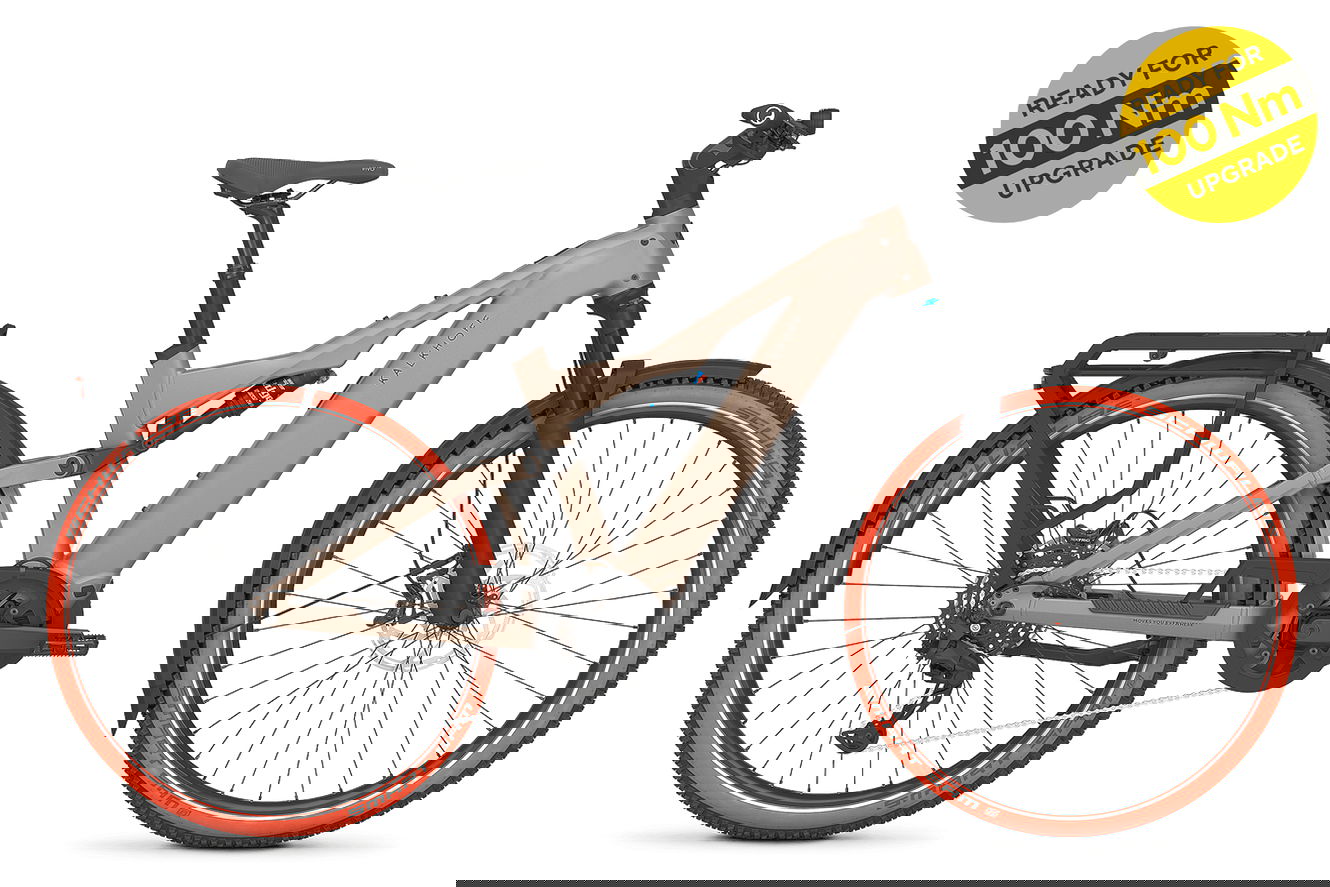 Kalkhoff ENTICE 7+ MOVE Diamant moonstonegrey matt, 50 cm | L | (29")