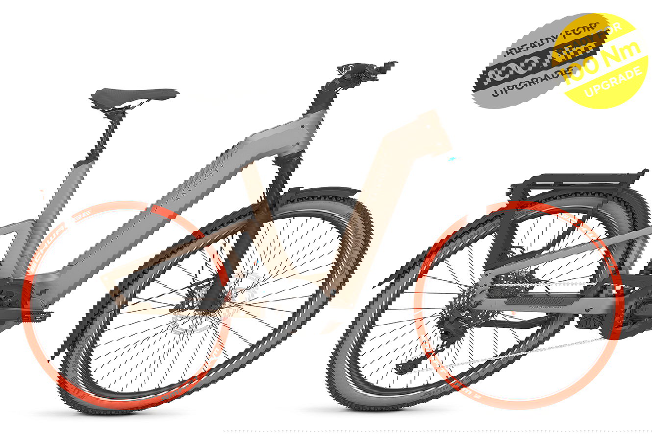 Kalkhoff ENTICE 7+ MOVE Wave moonstonegrey matt, 50 cm | M | (27,5")