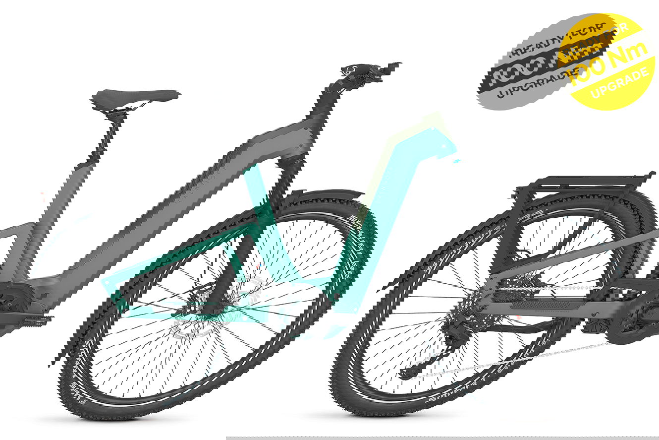 Kalkhoff ENTICE 7+ MOVE Wave mineralgreen / huntsmengreen matt, 50 cm | M | (27,5")