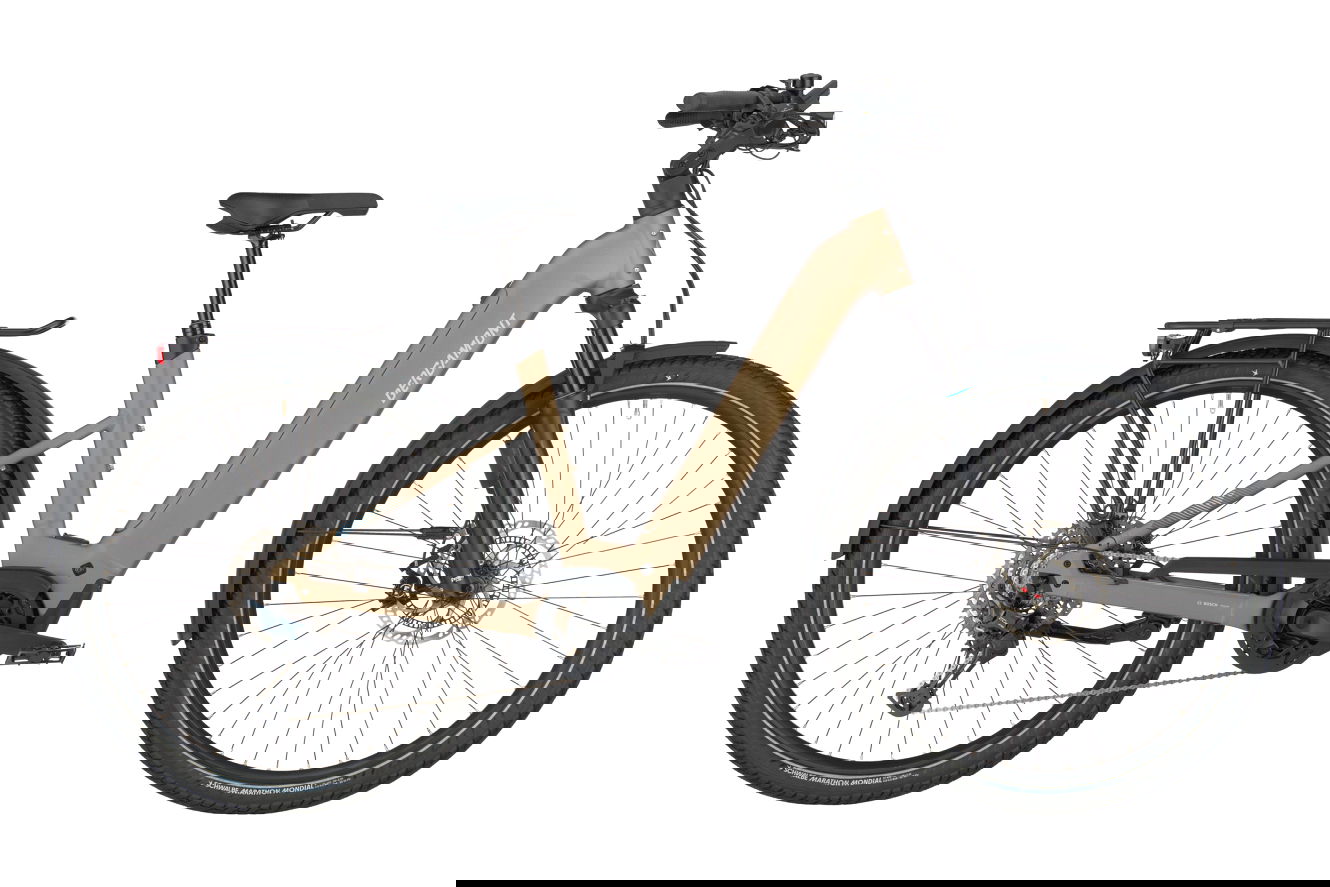 Bergamont E-Horizon SUV 10 Wave Wave warm silver, S | (28")