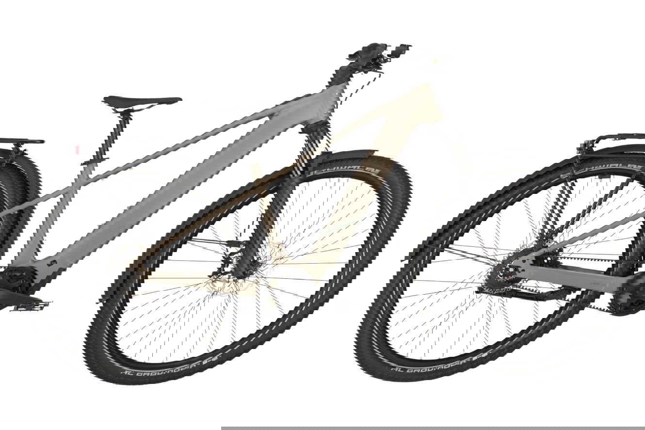 Bergamont E-Revox Tour 10 Belt Diamant warm silver, L | (29")