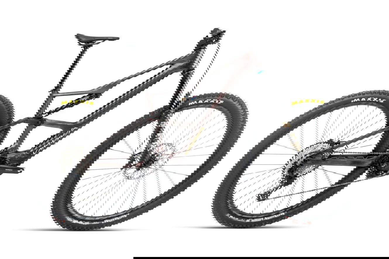 Orbea RISE LT M20 630W Diamant cosmic carbon view - golden sand (gloss), S | (29")