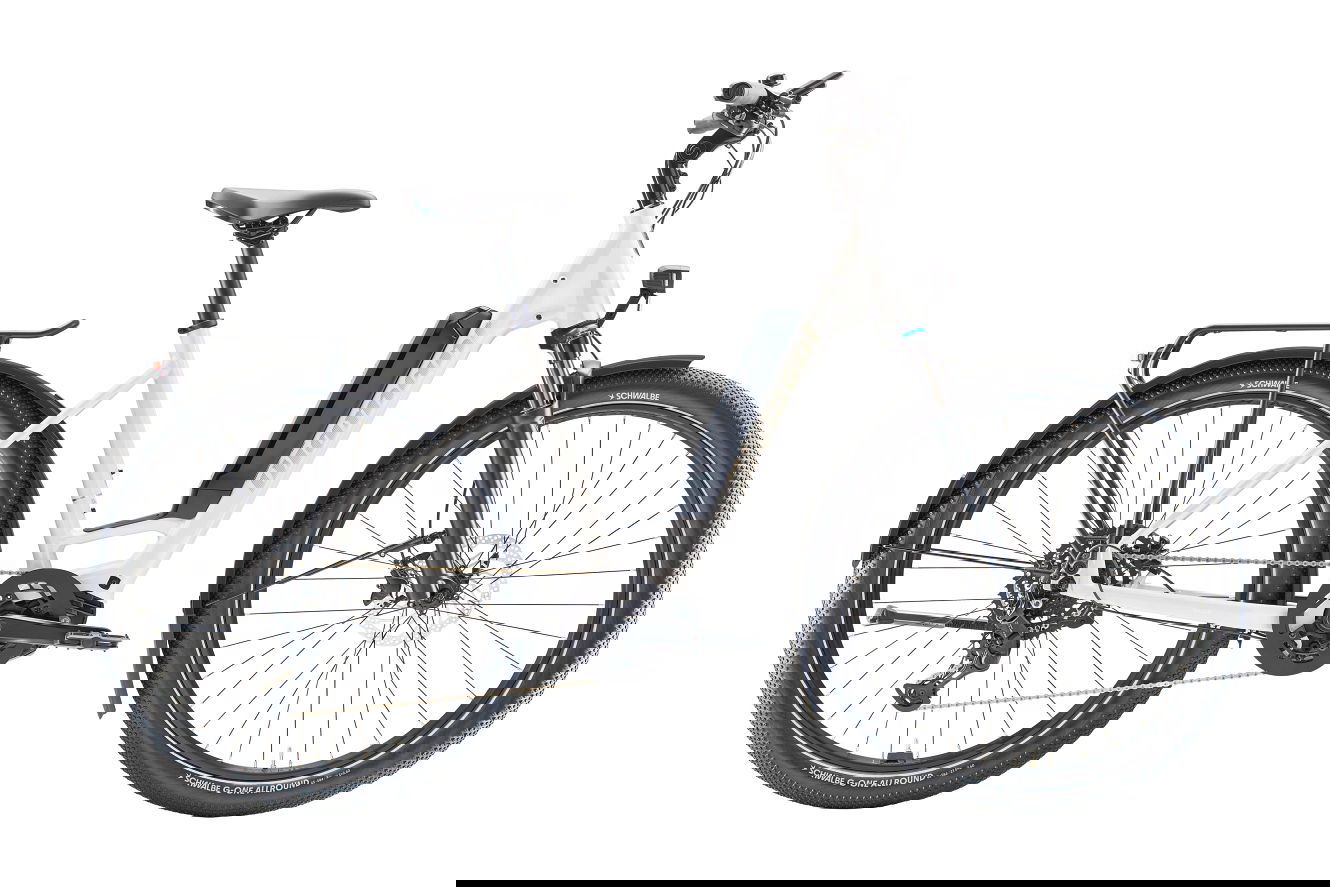 Diamant Zing Trip Core 800 Lowstep baumwollweiss metallic, M | (27,5")