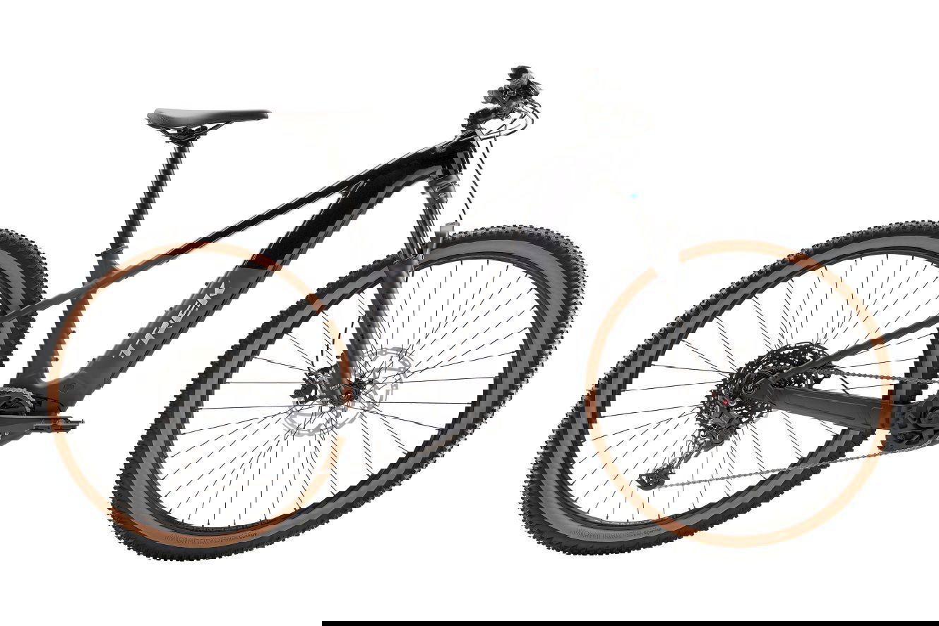 Trek Powerfly+ 4 Gen 5 Diamant gloss dark star/matte dark web, L | (29")