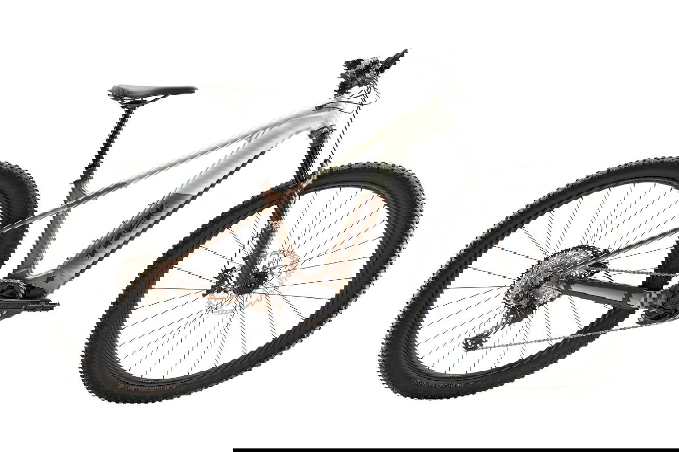 Trek Powerfly+ 8 Gen 5 Diamant satin lunar silver/bronze age, S | (27,5")