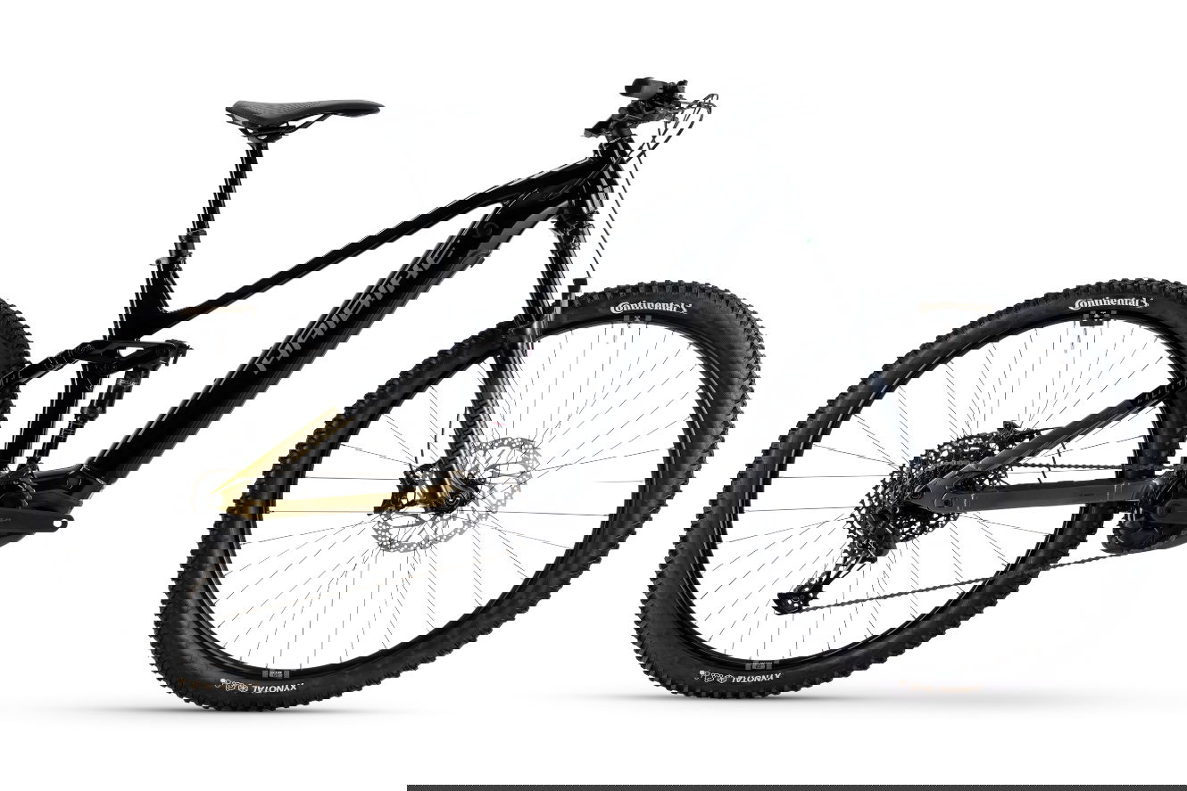 Haibike ALLTRAIL 10 29 High black/ninja gold/grey glänzend, 44 cm | M | (29")