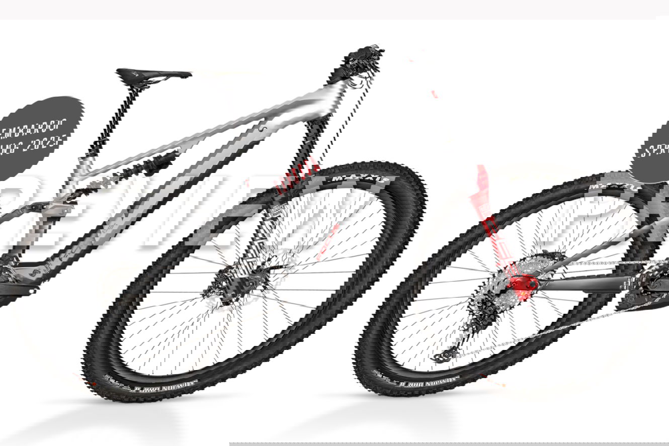 Focus Focus SAM² 6.0 600 Diamant nepalsilver / steelgrey, 42 cm | M | (29/27,5"")