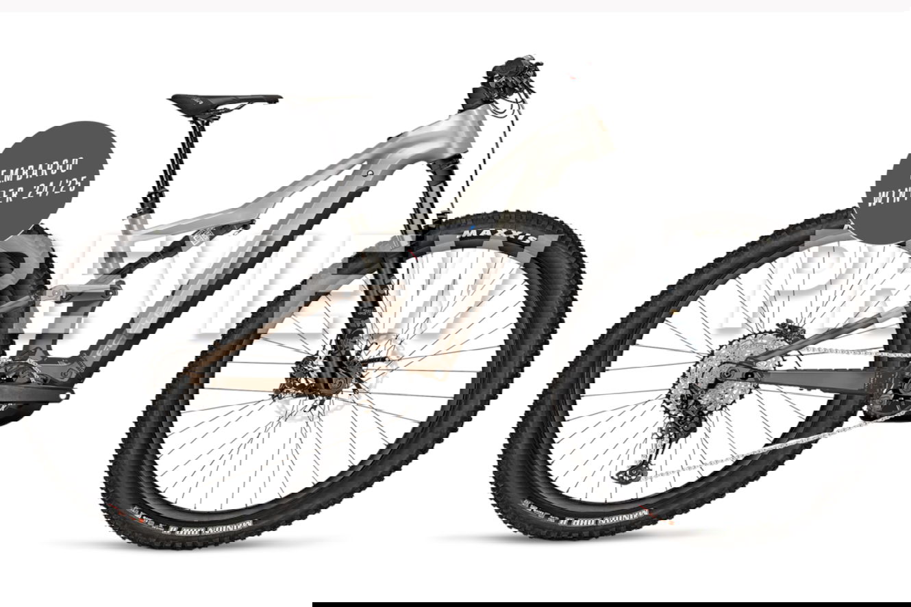 Focus THRON² 6.8 ABS 600 Diamant adamantsilver / platinumbronze, 39 cm | S | (29"")