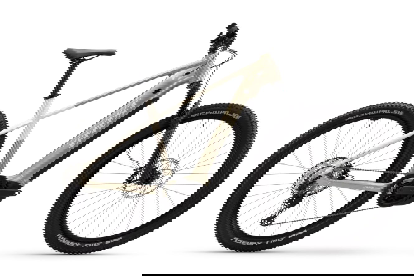 Ghost E-TERU PRO High dusty trail/dusty green - glossy, 45 cm | M | (29")