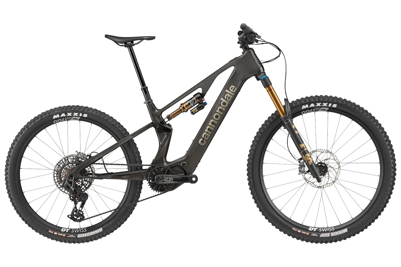 Cannondale Moterra SL 1 Diamant raw, LG | (29/27,5")