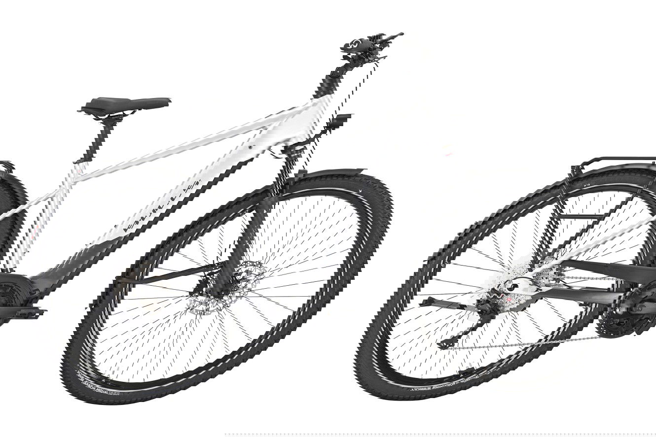 Bulls CROSS LITE EVO 1 800 Diamant arctic silver, M | (29")