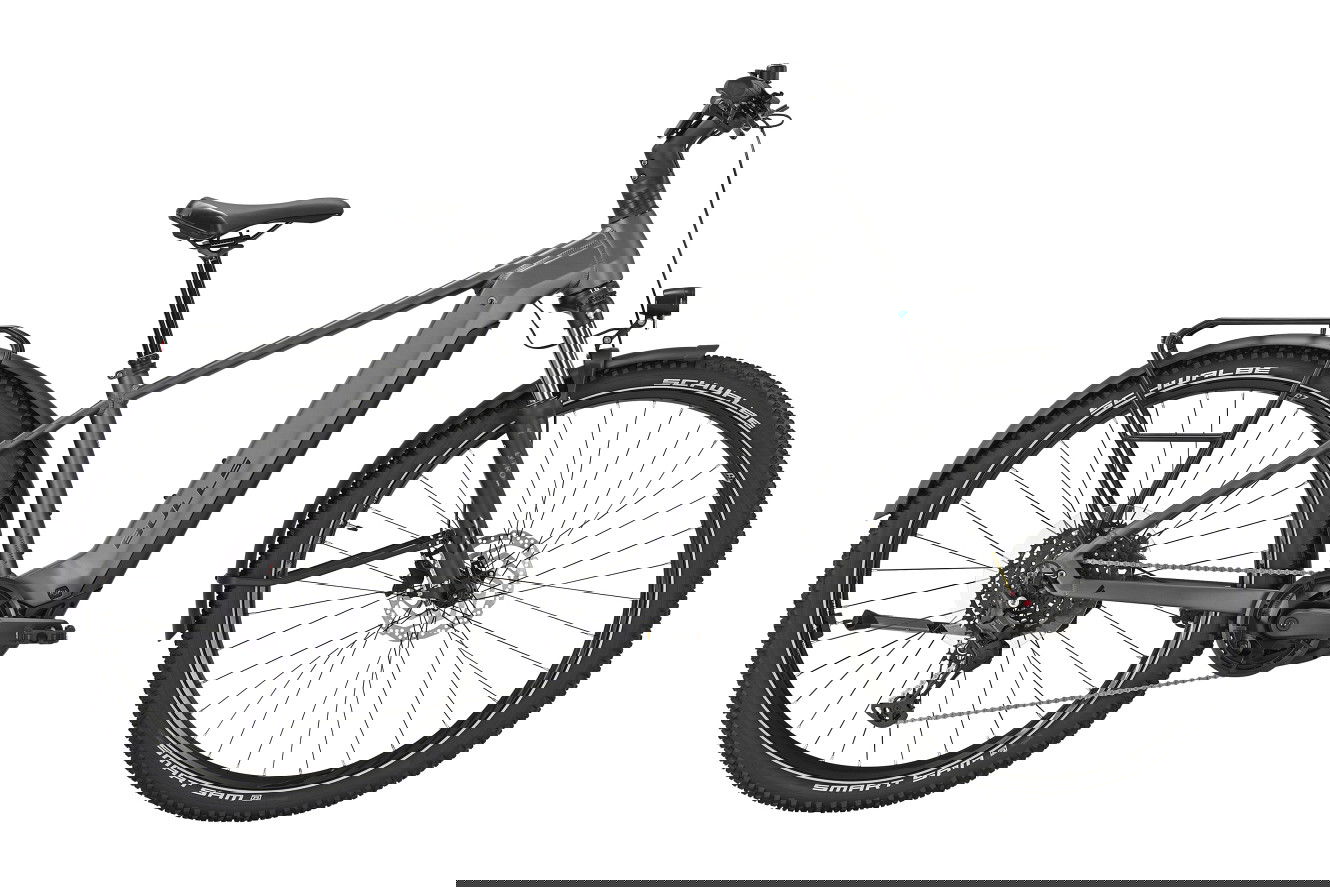 BULLS ICONIC EVO 2 800 Diamant quantum silver matte, M | (29")