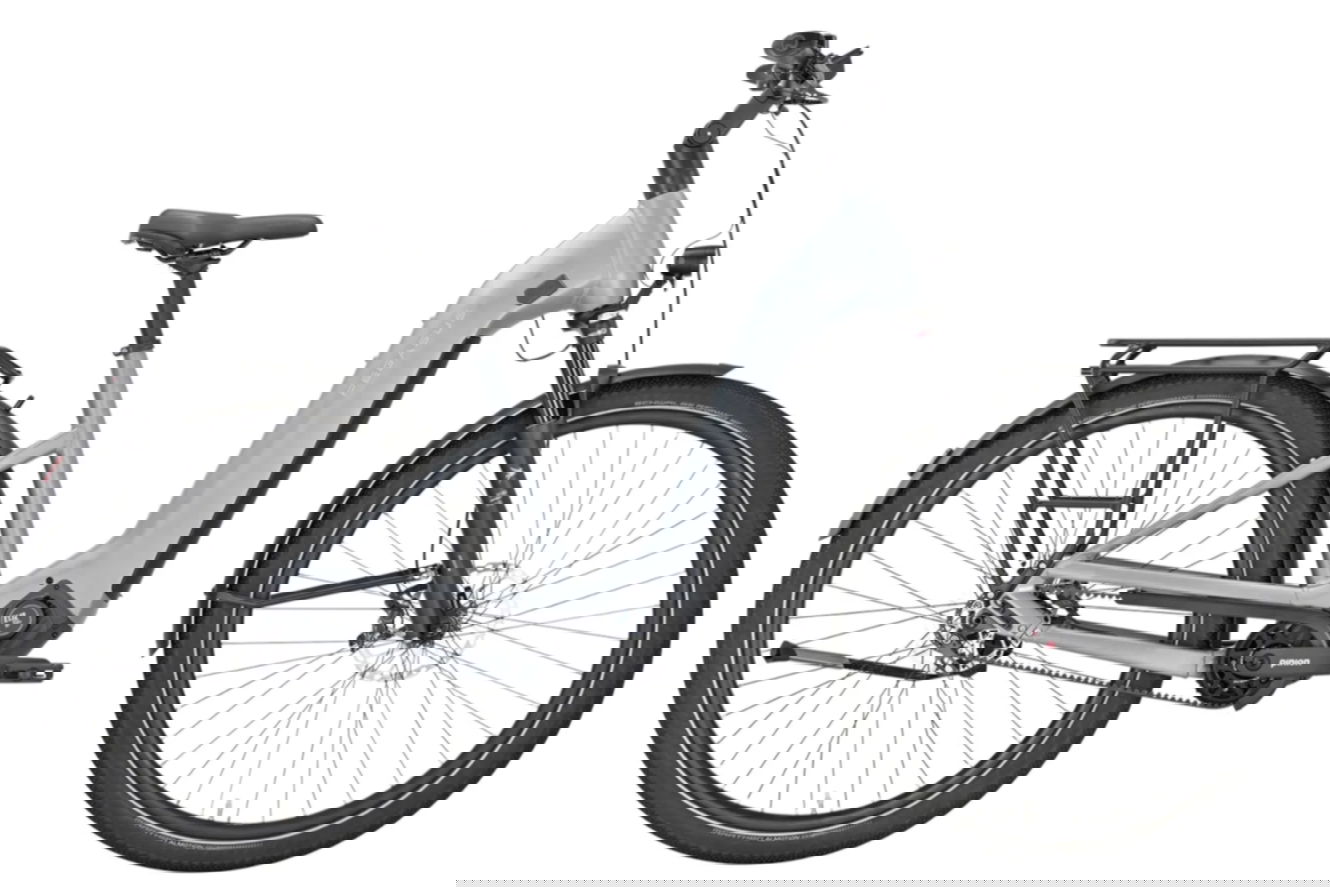 Pegasus ESTREMO EVO 12 Lite Wave holographic grey matte, L | (28")