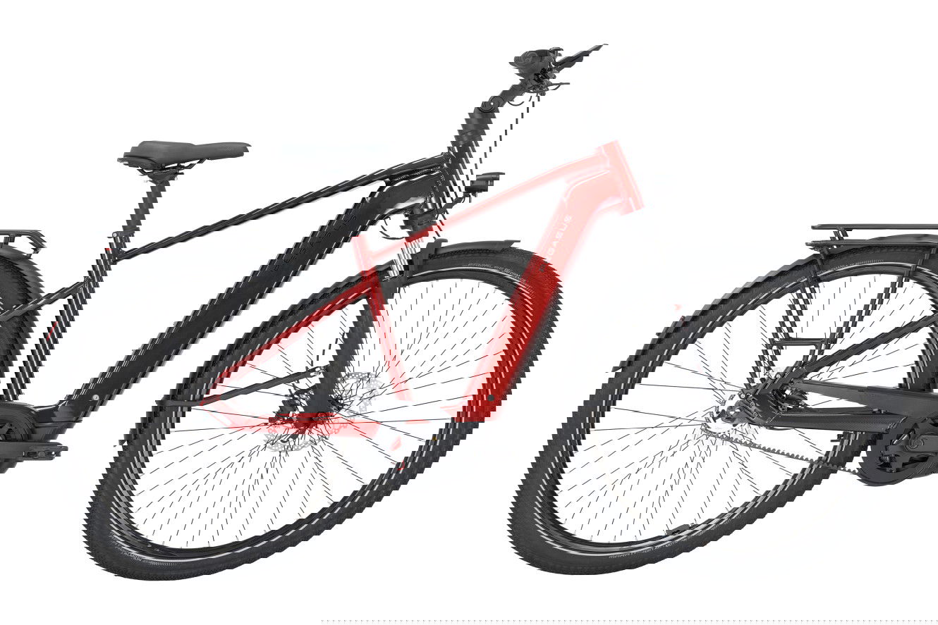 Pegasus PREMIO EVO 5F Belt 800 Wave fire red, M | (28")
