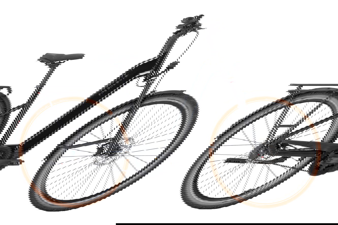Pegasus PREMIO EVO 5F Lite Belt Auto Wave black, M | (28")