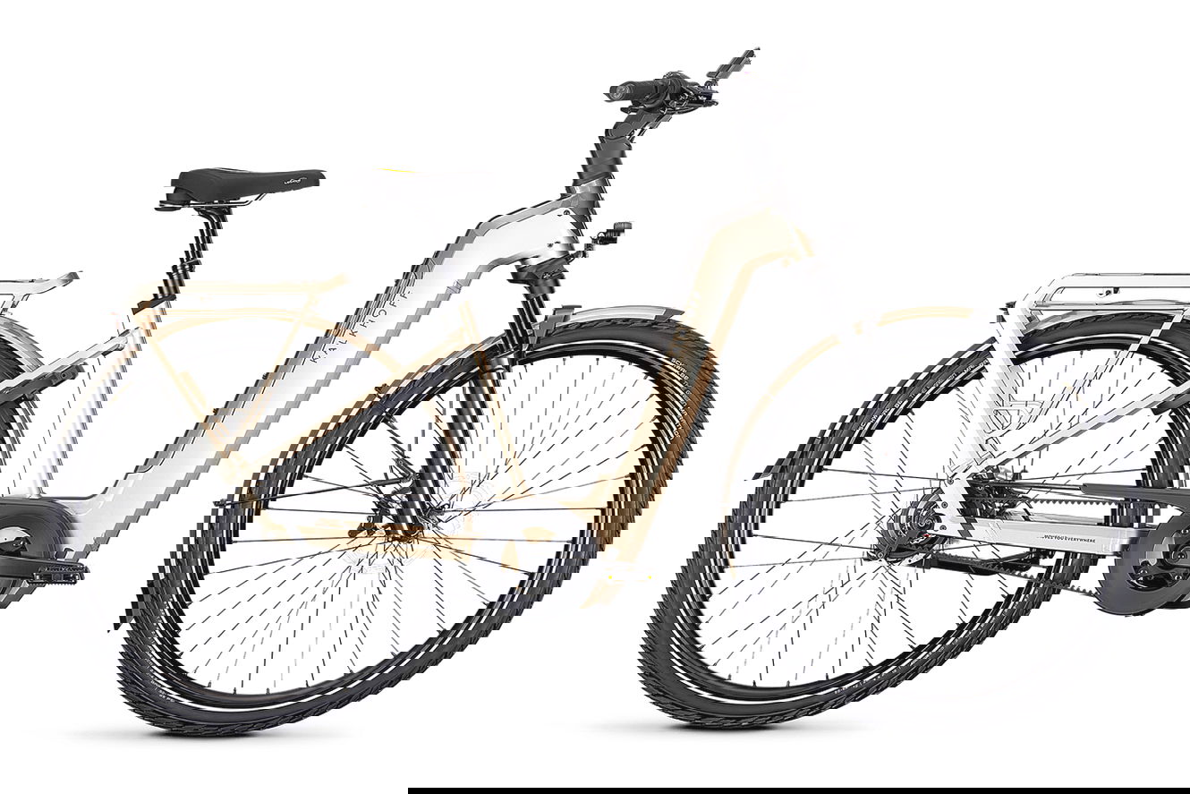 Kalkhoff IMAGE 5+ ADVANCE Wave adamantsilver / crystalgrey glossy, 48 cm | M | (29")