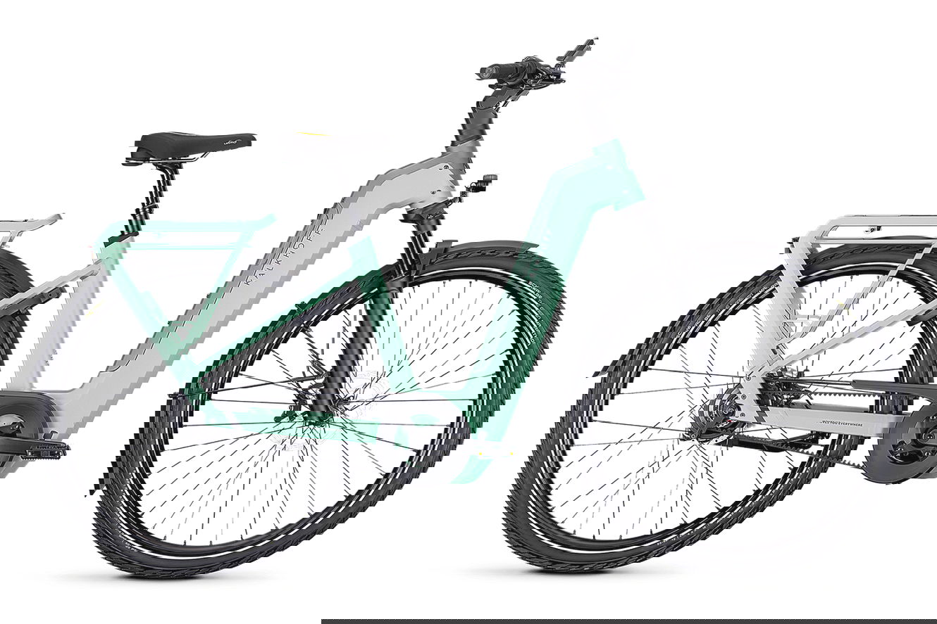 Kalkhoff IMAGE 5+ ADVANCE Wave sagegreen / deepsage matt, 48 cm | M | (29")