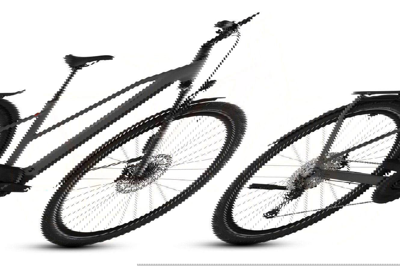 CUBE Kathmandu Hybrid EXC 800 Trapez cedar´n´chrome, 50 cm | (28")