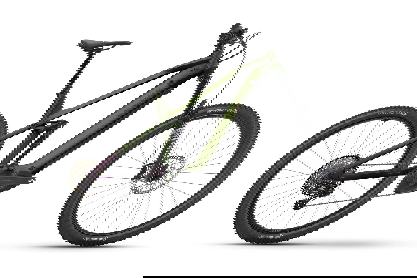 Haibike ALLMTN 6 High swamp/midnight plum matt, 49 cm | XL | (29/27,5")