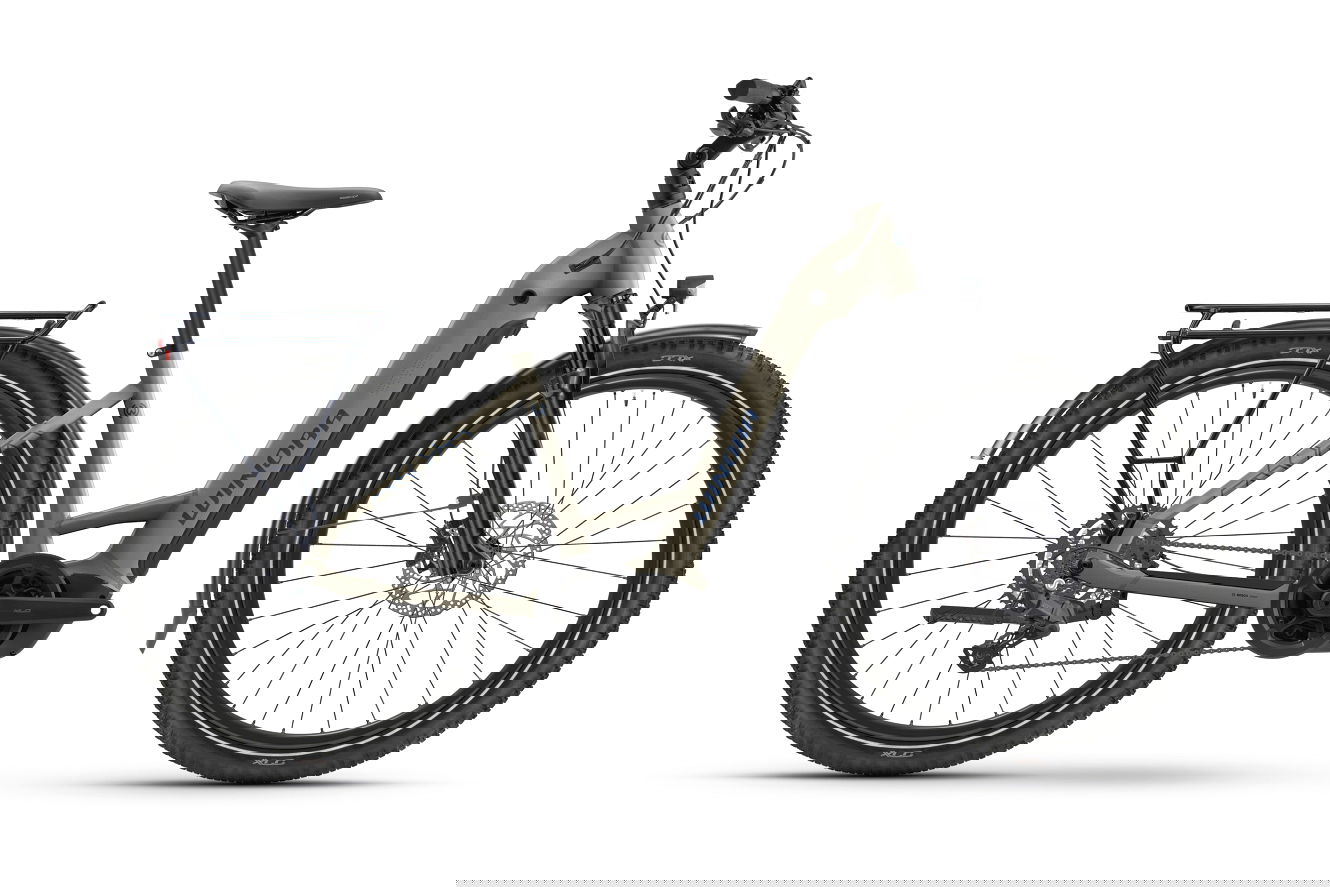 Winora Yucatan X9 Low silver dollar matt, 38 cm | (27,5")