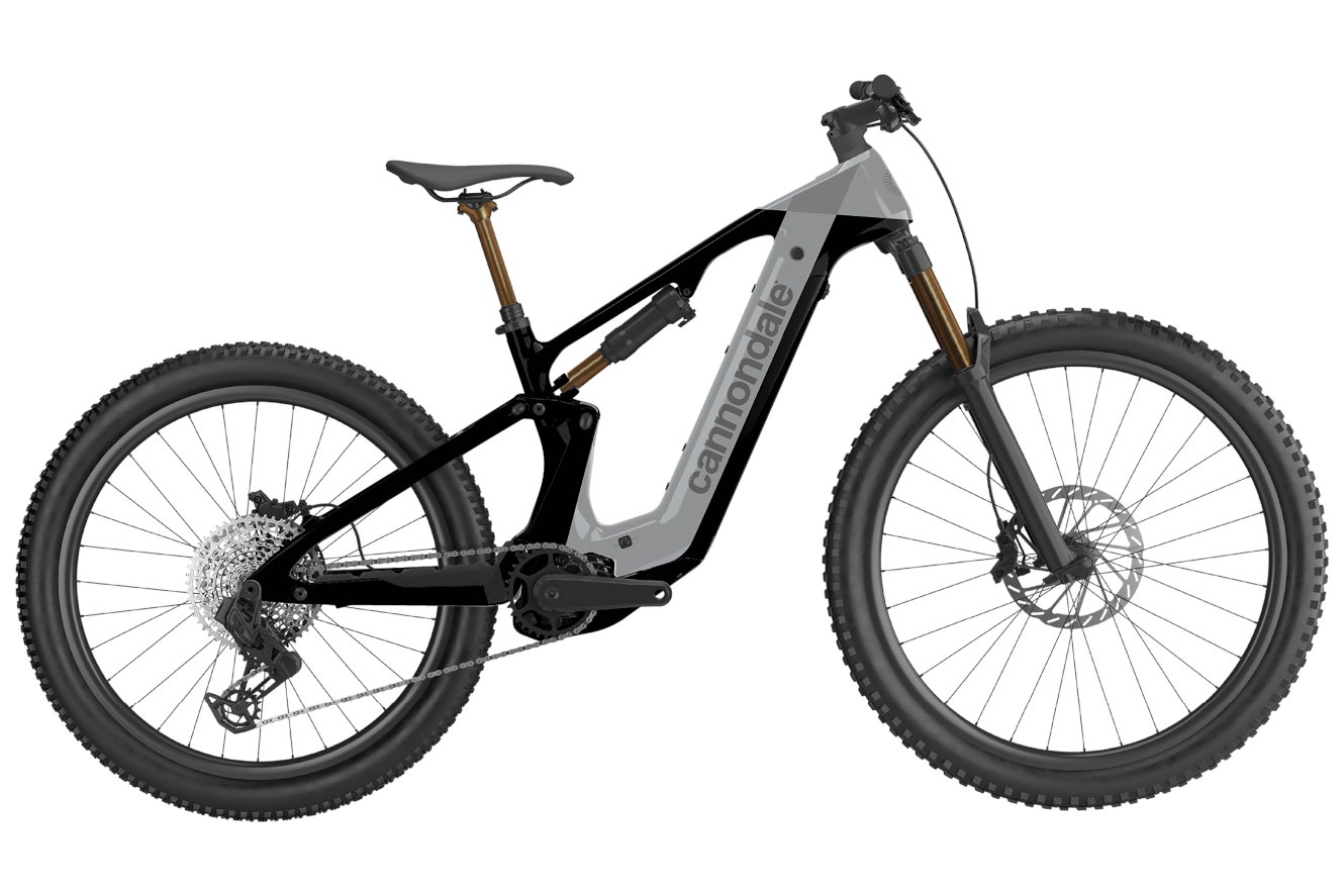 Cannondale Moterra 1 Diamant tiger shark, LG | (29")