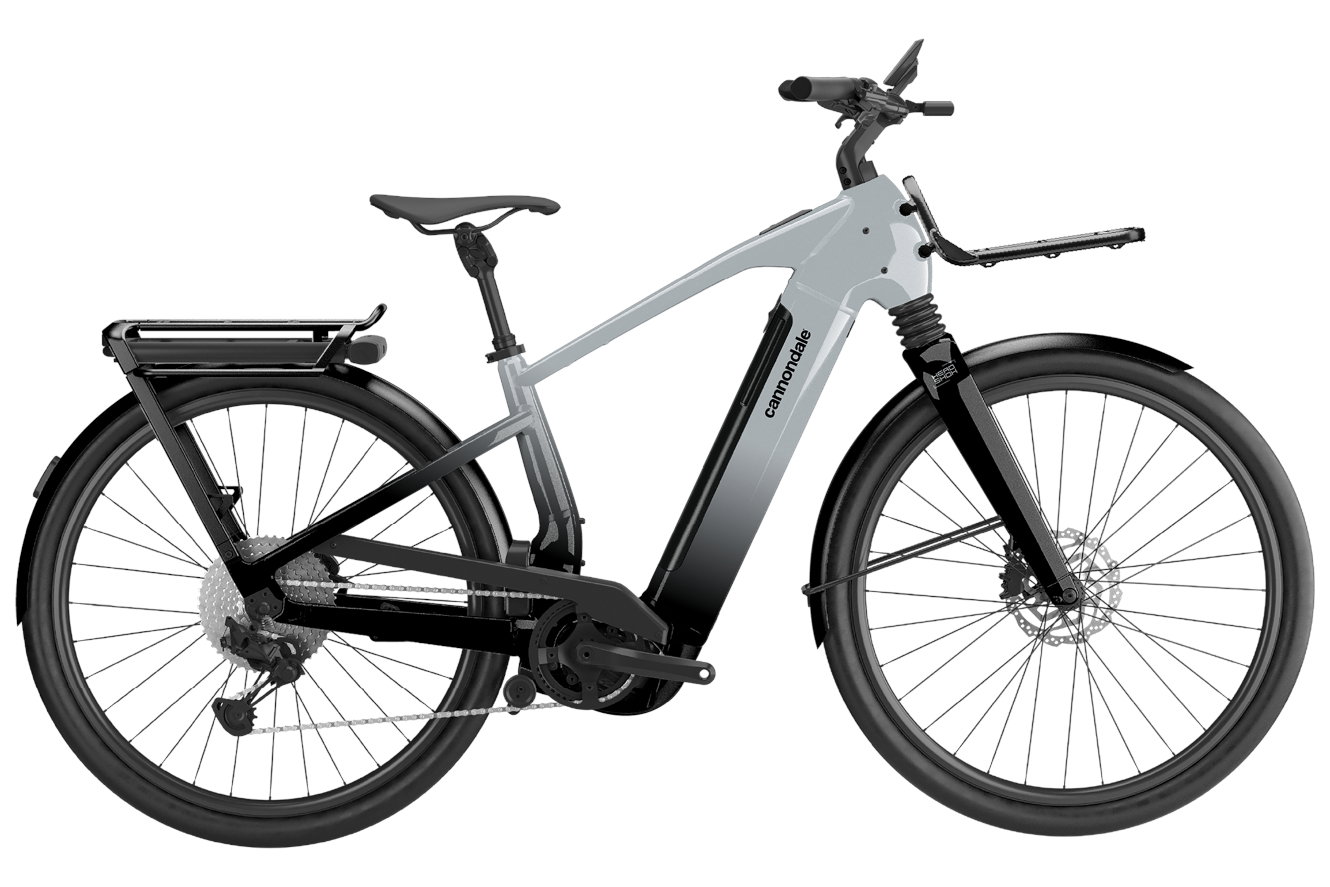 Cannondale Tesoro Automatiq HS Diamant silver, XL | (29/27,5")
