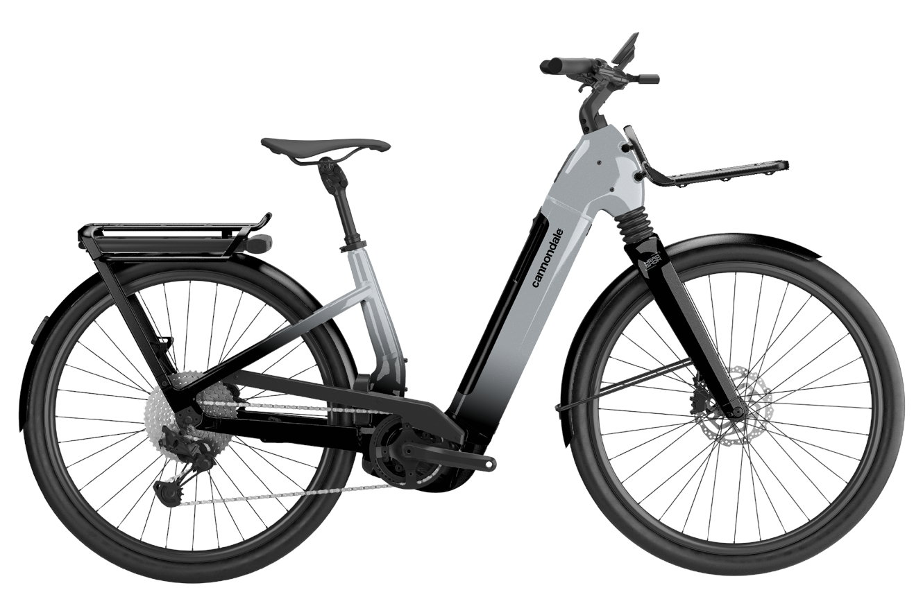 Cannondale Tesoro Automatiq Low StepThru HS Wave silver, MD | (29/27,5")