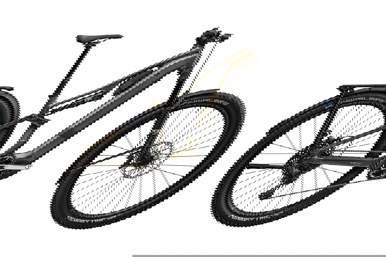 Centurion Numinis R2000 EQ Diamant kristallgrau satin, 44 cm | L | (29")