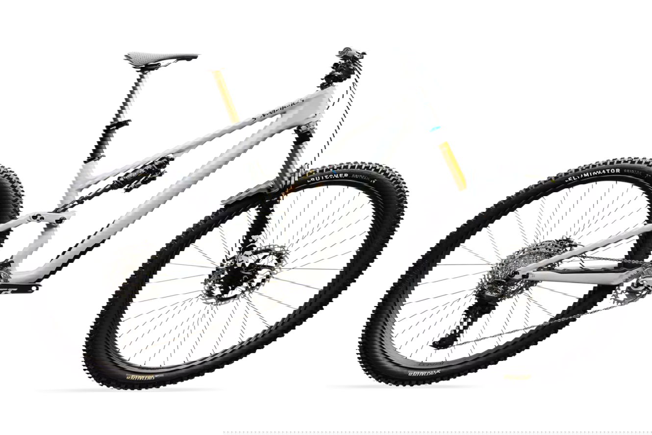 Specialized S-Works Stumpjumper 15 EVO Diamant gloss dolomite metallic, S4 | (29")