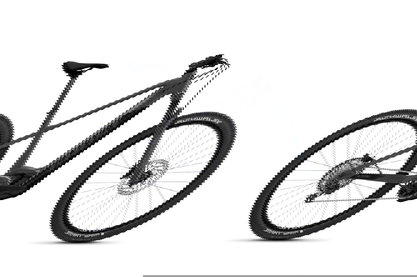 Ghost E-Teru B Pro Diamant dark grey/black - glossy/matt, 29" - M