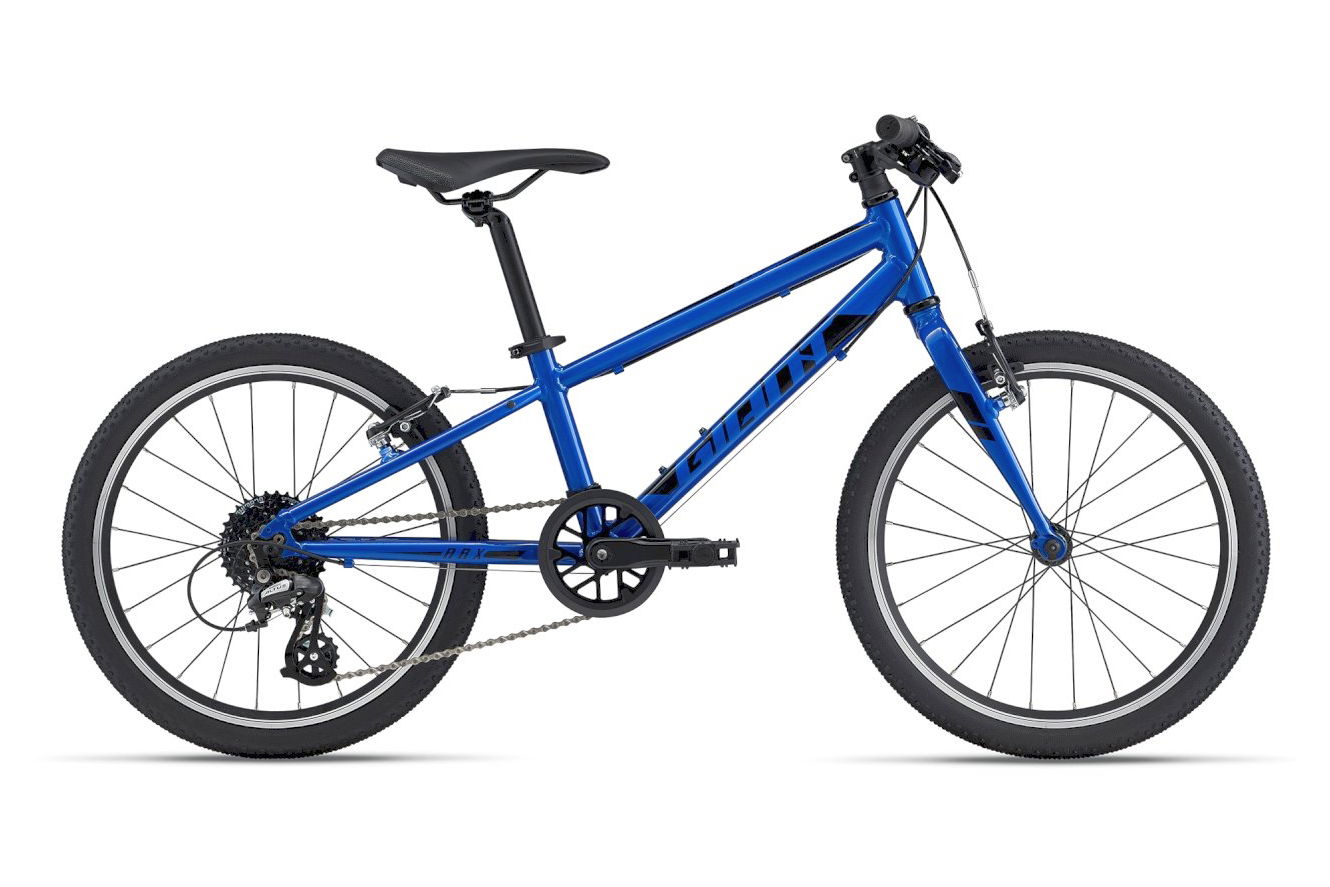 GIANT ARX 20 Diamant sapphire, Onesize | (20")