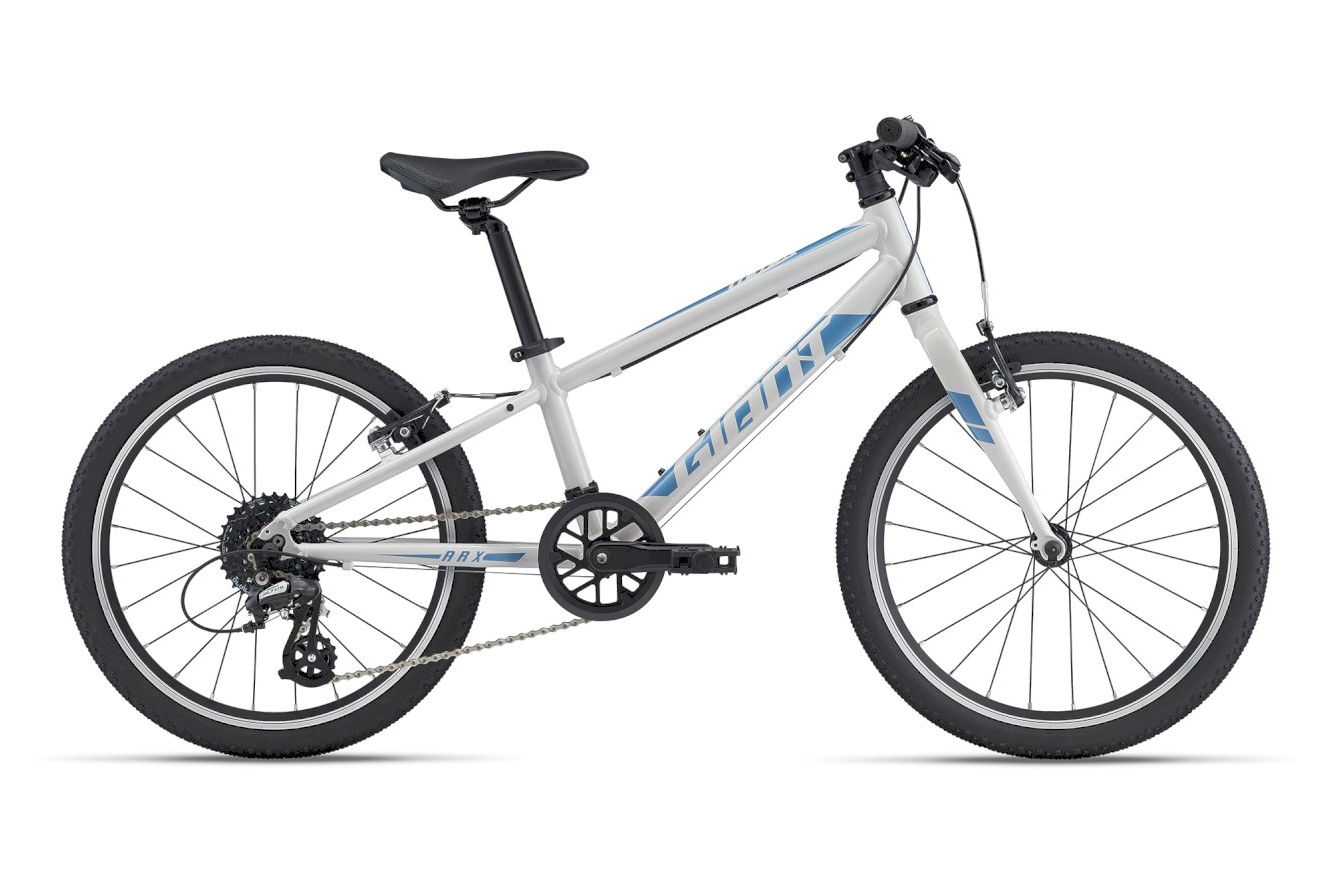 GIANT ARX 20 Diamant snow drift, Onesize | (20")