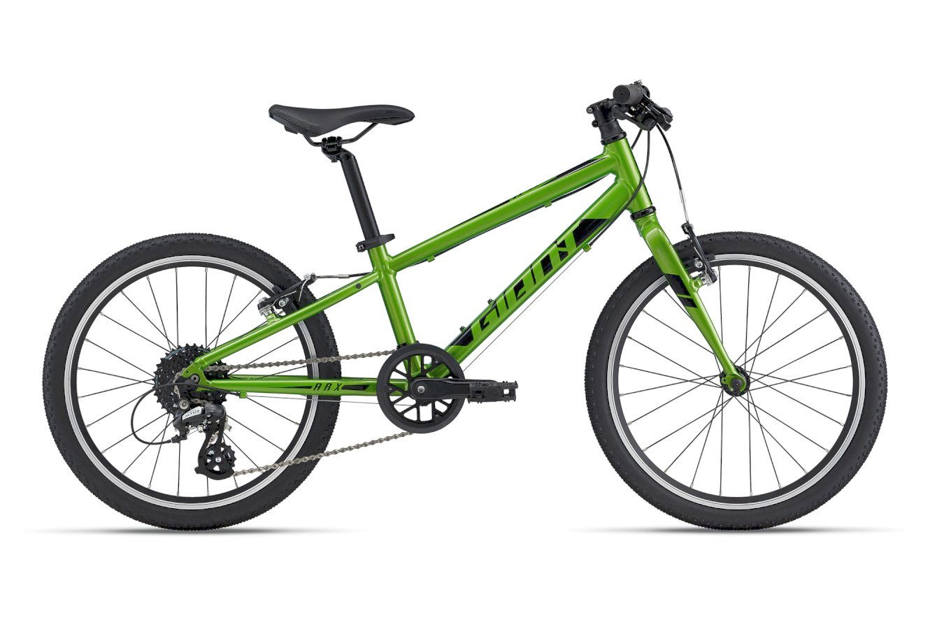 GIANT ARX 20 Diamant metallic green, Onesize | (20")